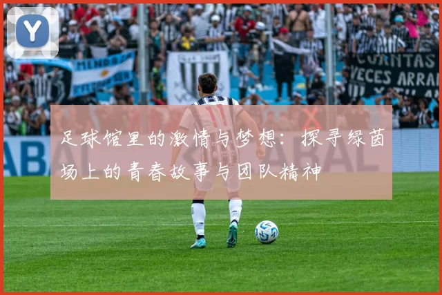 足球馆里的激情与梦想：探寻绿茵场上的青春故事与团队精神